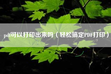 pdf可以打印出来吗（轻松搞定PDF打印）