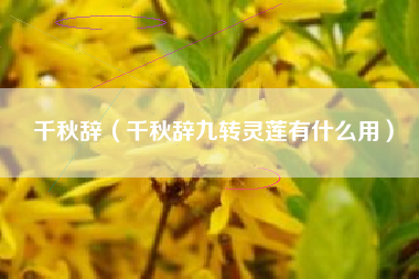 千秋辞（千秋辞九转灵莲有什么用）