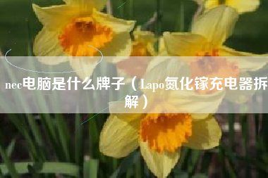 nec电脑是什么牌子（Lapo氮化镓充电器拆解）