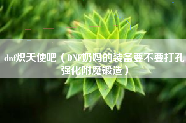 dnf炽天使吧（DNF奶妈的装备要不要打孔强化附魔锻造）