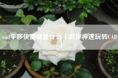 cad平移快捷键是什么（教你神速玩转CAD）
