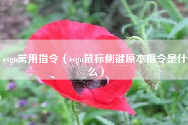 csgo常用指令（csgo鼠标侧键原本指令是什么）