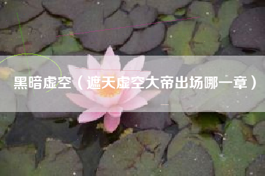 黑暗虚空（遮天虚空大帝出场哪一章）