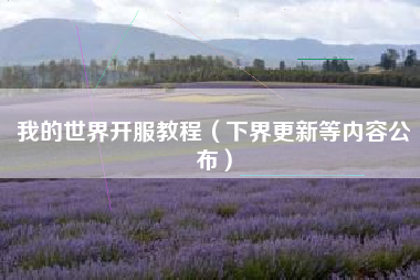 我的世界开服教程（下界更新等内容公布）