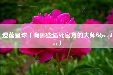 遗落星球（有哪些逼死官方的大师级cosplay）