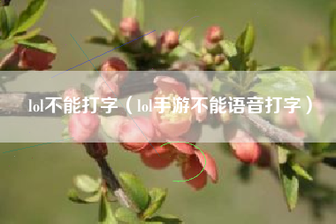 lol不能打字（lol手游不能语音打字）