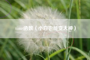 time函数（小白也能变大神）