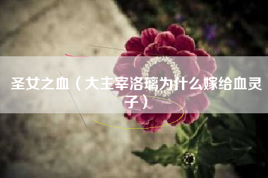 圣女之血（大主宰洛璃为什么嫁给血灵子）