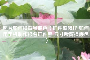 照片如何换背景底色（证件照教程 如何用手机制作报名证件照 尺寸裁剪换底色）