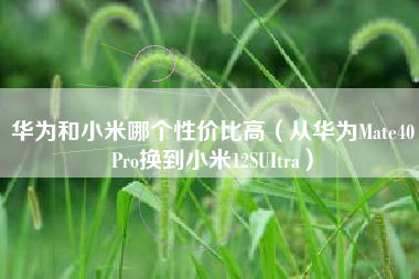 华为和小米哪个性价比高（从华为Mate40Pro换到小米12SUItra）