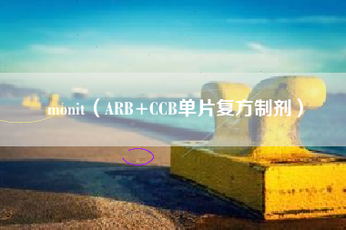 monit（ARB+CCB单片复方制剂）