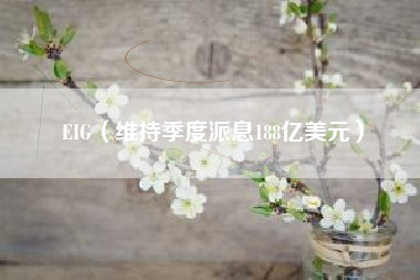 EIG（维持季度派息188亿美元）