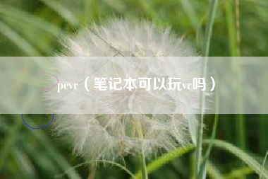 pcvr（笔记本可以玩vr吗）