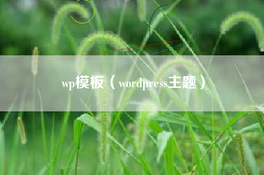 wp模板（wordpress主题）