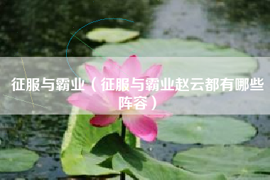 征服与霸业（征服与霸业赵云都有哪些阵容）