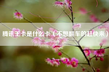 腾讯王卡是什么卡（不想翻车的赶快来）