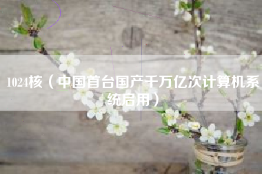 1024核（中国首台国产千万亿次计算机系统启用）