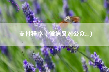 支付程序（微信又对公众...）