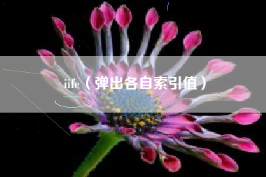 iife（弹出各自索引值）