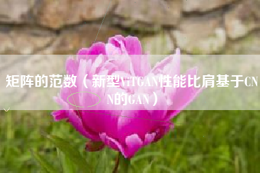 矩阵的范数（新型ViTGAN性能比肩基于CNN的GAN）