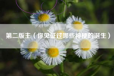 第二版主（你见证过哪些神梗的诞生）