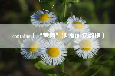 contains（“黄网”泄露108亿数据）