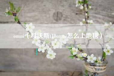 omni（科沃斯t10omni怎么上地毯）