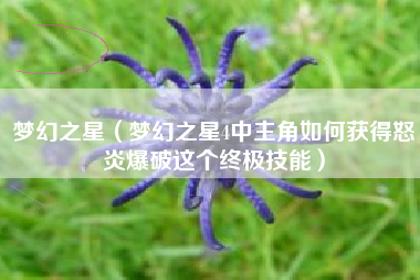 梦幻之星（梦幻之星4中主角如何获得怒炎爆破这个终极技能）