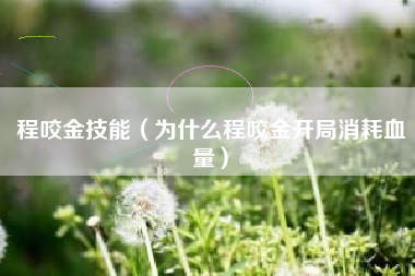 程咬金技能（为什么程咬金开局消耗血量）