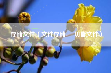 存储文件（文件存储-一切皆文件）
