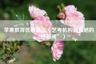 苹果教育优惠商店（艺考机构最丑陋的“性丑闻”）