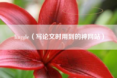 linggle（写论文时用到的神网站）