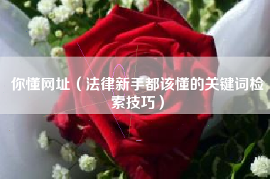 你懂网址（法律新手都该懂的关键词检索技巧）