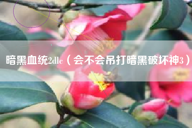 暗黑血统2dlc（会不会吊打暗黑破坏神3）