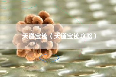 天遵宝迹（天道宝迹攻略）