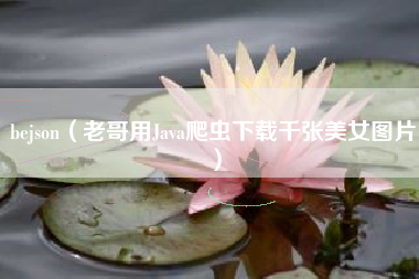 bejson（老哥用Java爬虫下载千张美女图片）