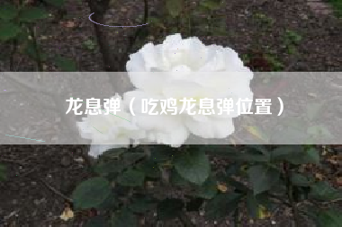 龙息弹（吃鸡龙息弹位置）