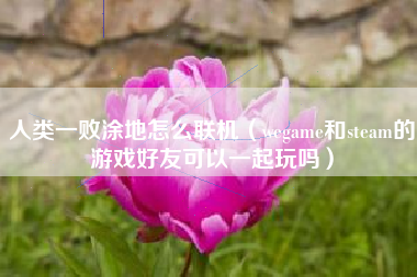 人类一败涂地怎么联机（wegame和steam的游戏好友可以一起玩吗）