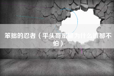 笨拙的忍者（平头哥蜜獾为什么谁都不怕）