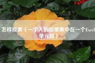 怎样投票（一个人的投票集中在一个Excel单元格）