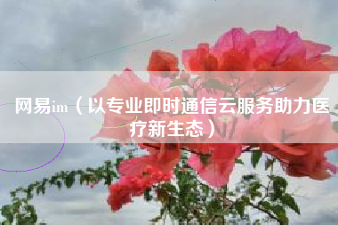 网易im（以专业即时通信云服务助力医疗新生态）