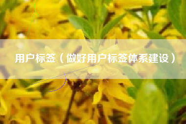 用户标签（做好用户标签体系建设）