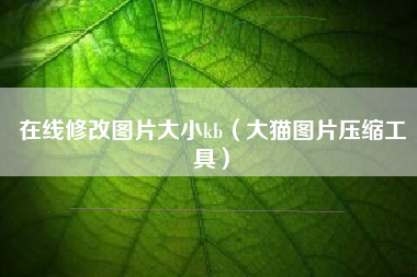 在线修改图片大小kb（大猫图片压缩工具）