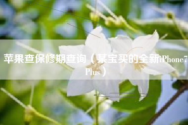 苹果查保修期查询（某宝买的全新iPhone7Plus）