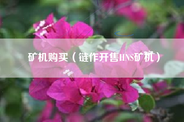 矿机购买（链作开售HNS矿机）