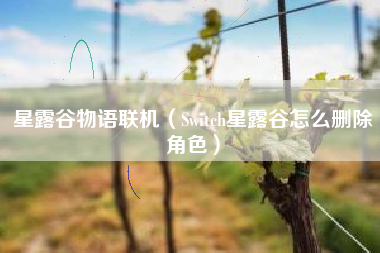星露谷物语联机（Switch星露谷怎么删除角色）