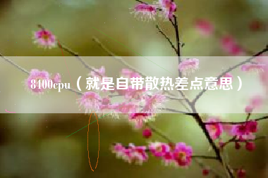 8400cpu（就是自带散热差点意思）