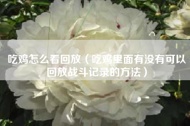 吃鸡怎么看回放（吃鸡里面有没有可以回放战斗记录的方法）