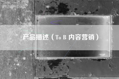 产品描述（To B 内容营销）