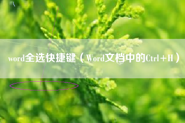 word全选快捷键（Word文档中的Ctrl+H）